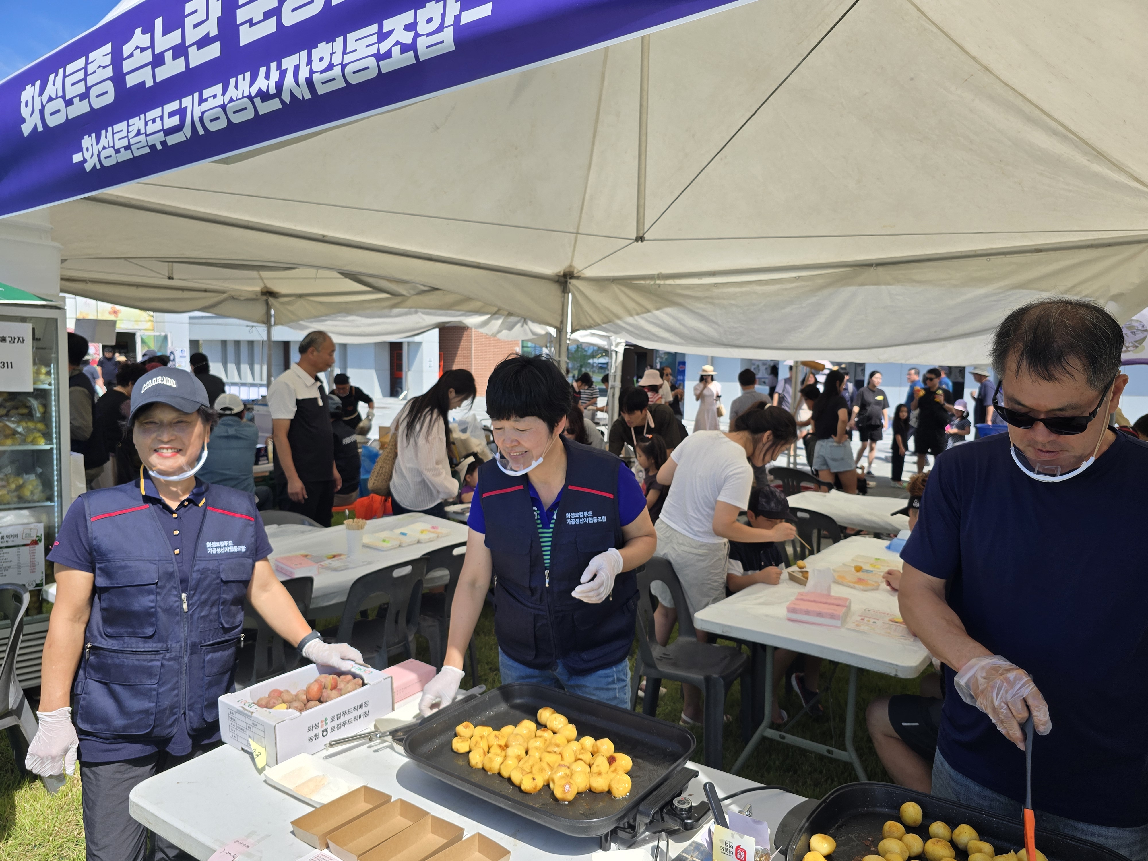 제12회 화성송산포도축제 재단 부스 홍보, 판매, 체험 부스 및 직매장 임시 운영(2026.9.5.~9.6.) 