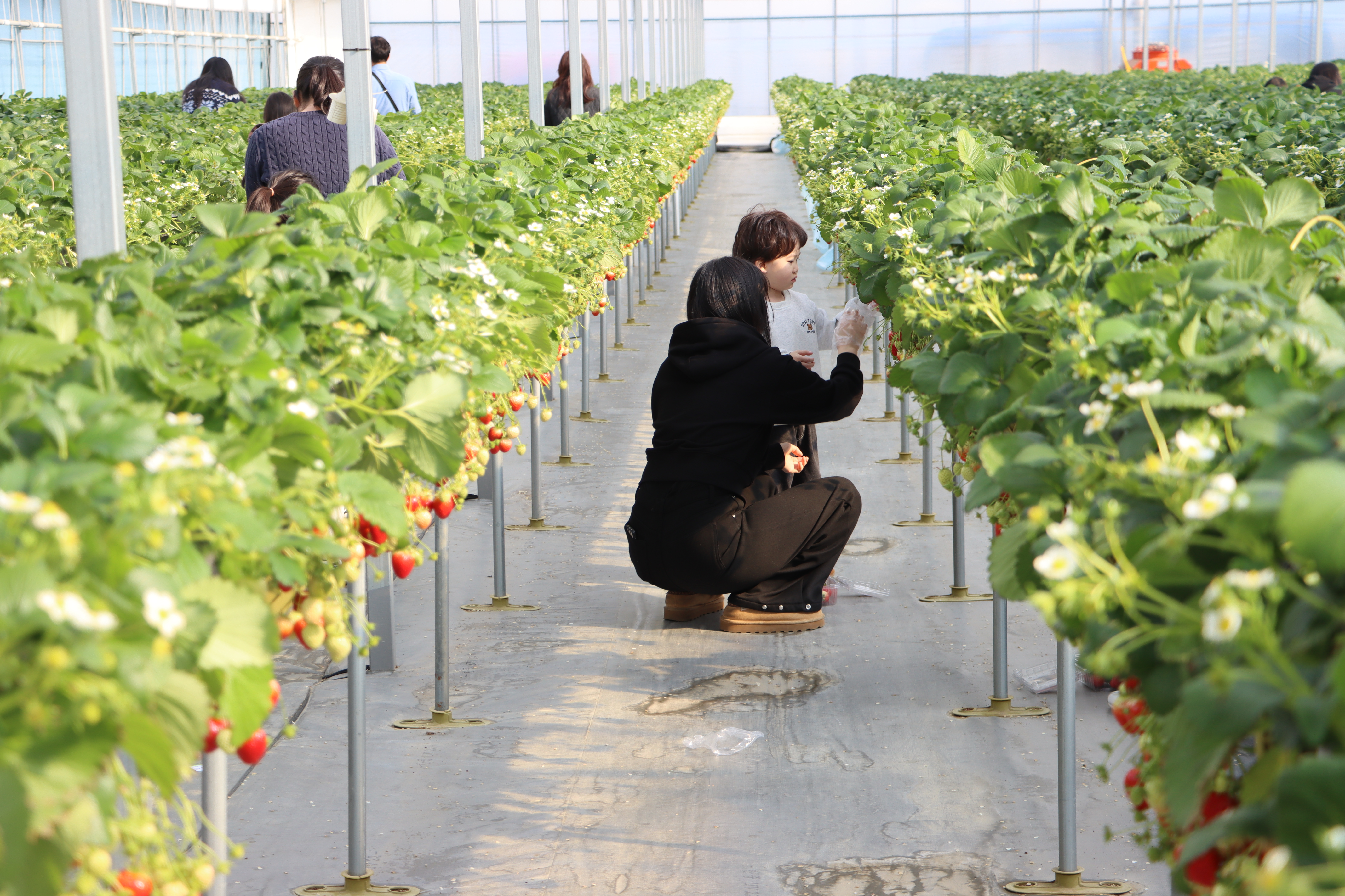 2026년 도농상생 프로젝트 『로컬푸드 캠프』 1차(2026.2.26.)