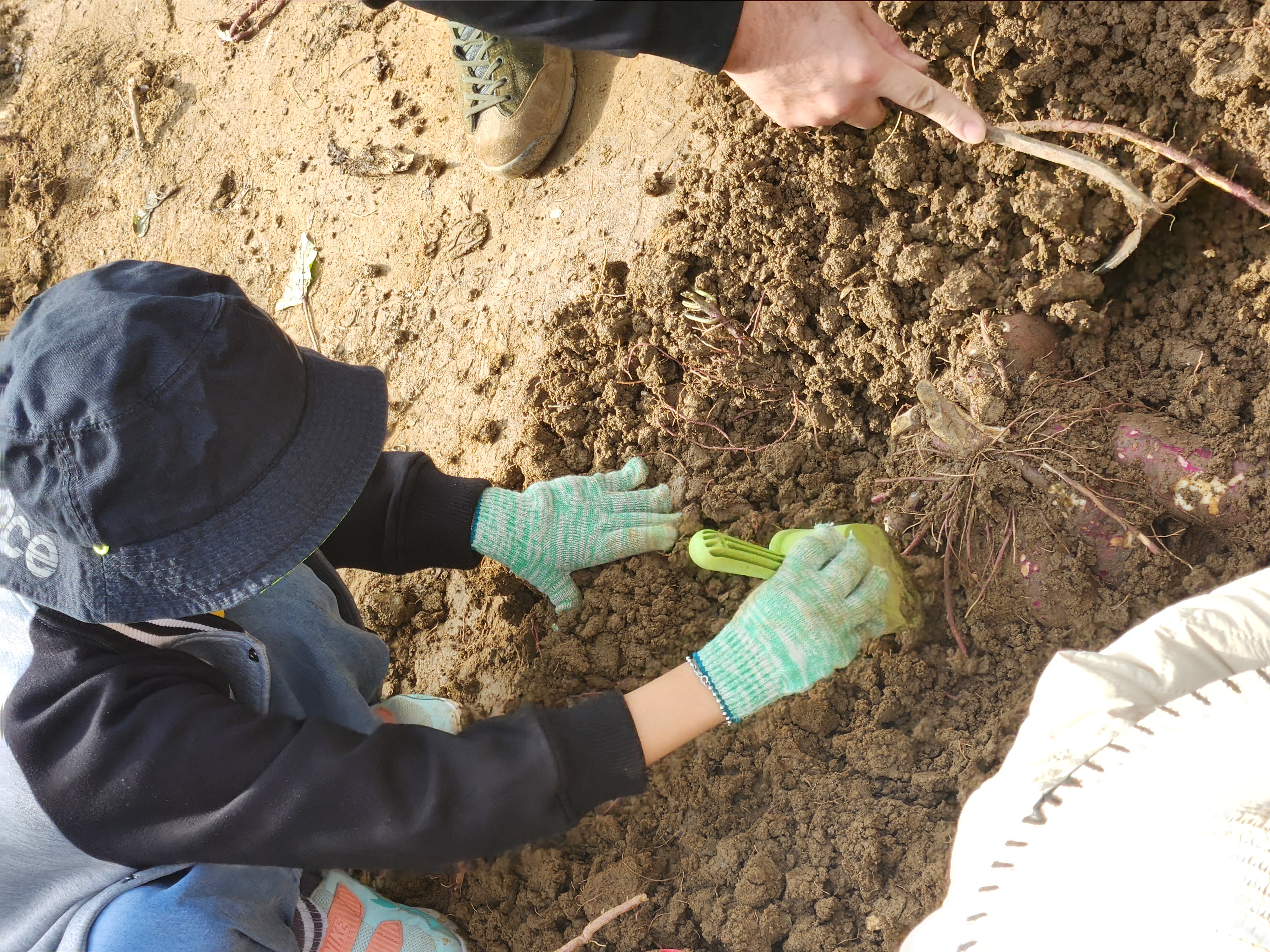 도농상생프로젝트 참여 후기 이미지