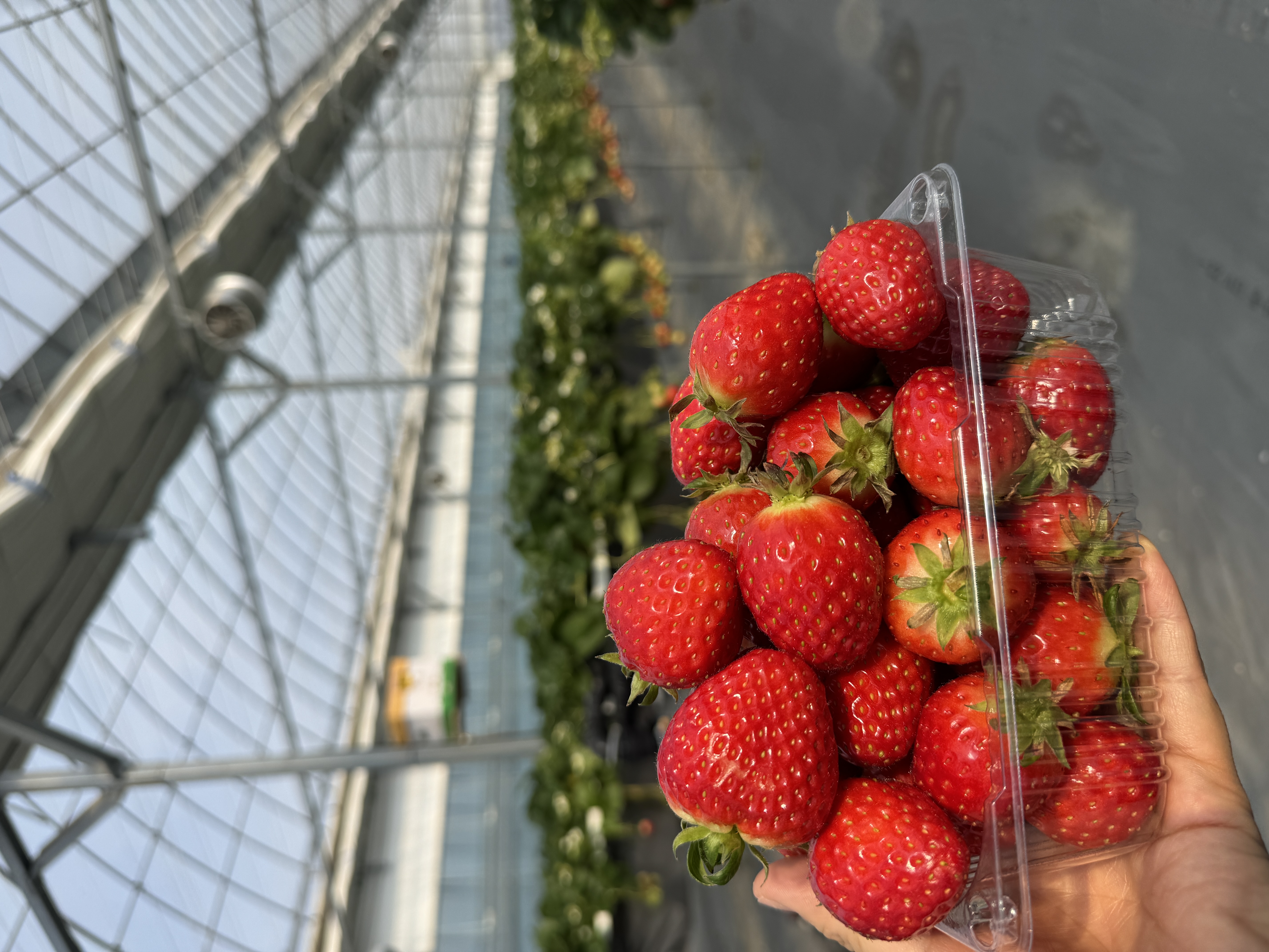 도농상생(로컬푸드캠프) 이미지