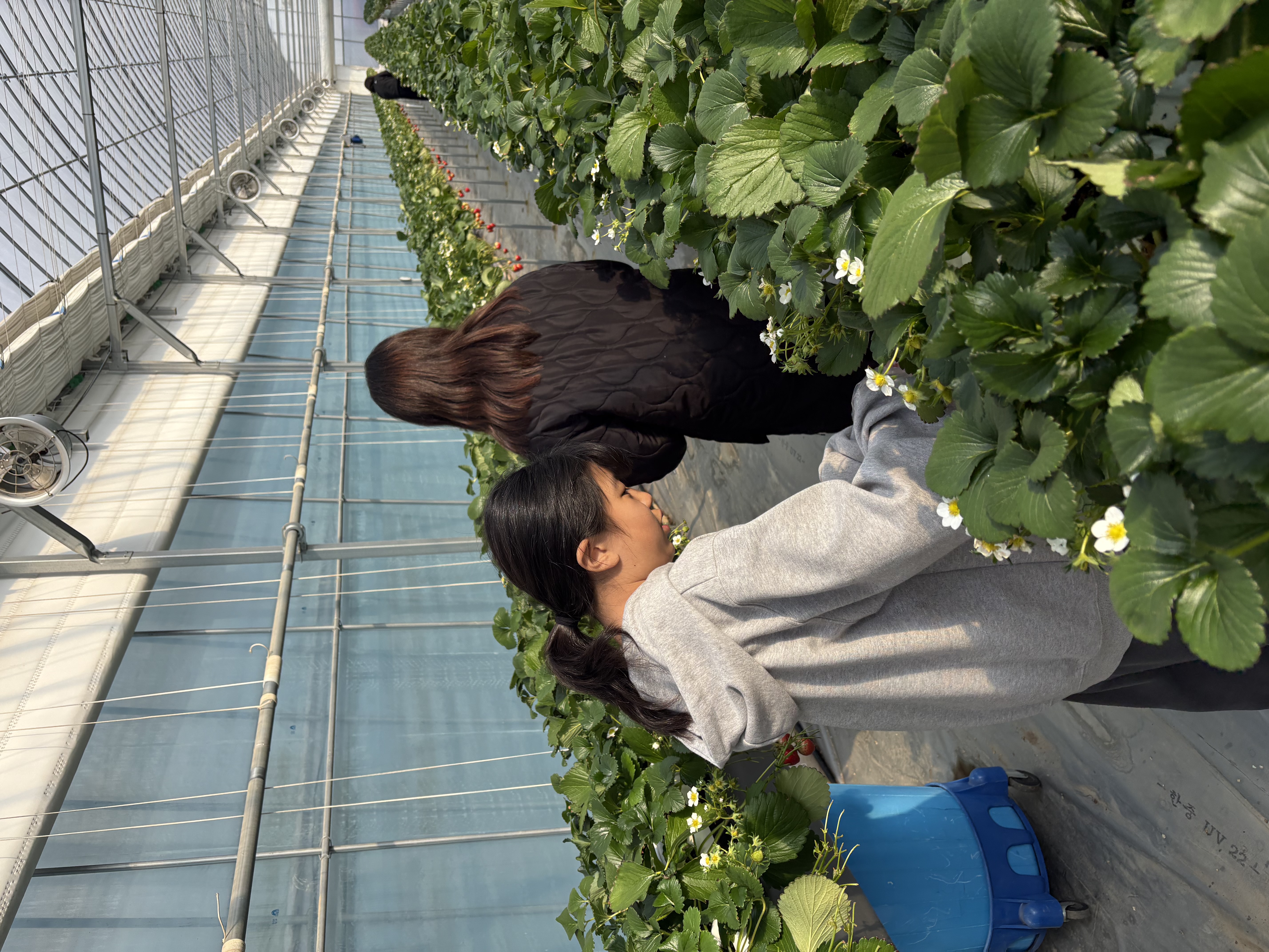 도농상생 로컬푸드캠프 최고예요!! 이미지