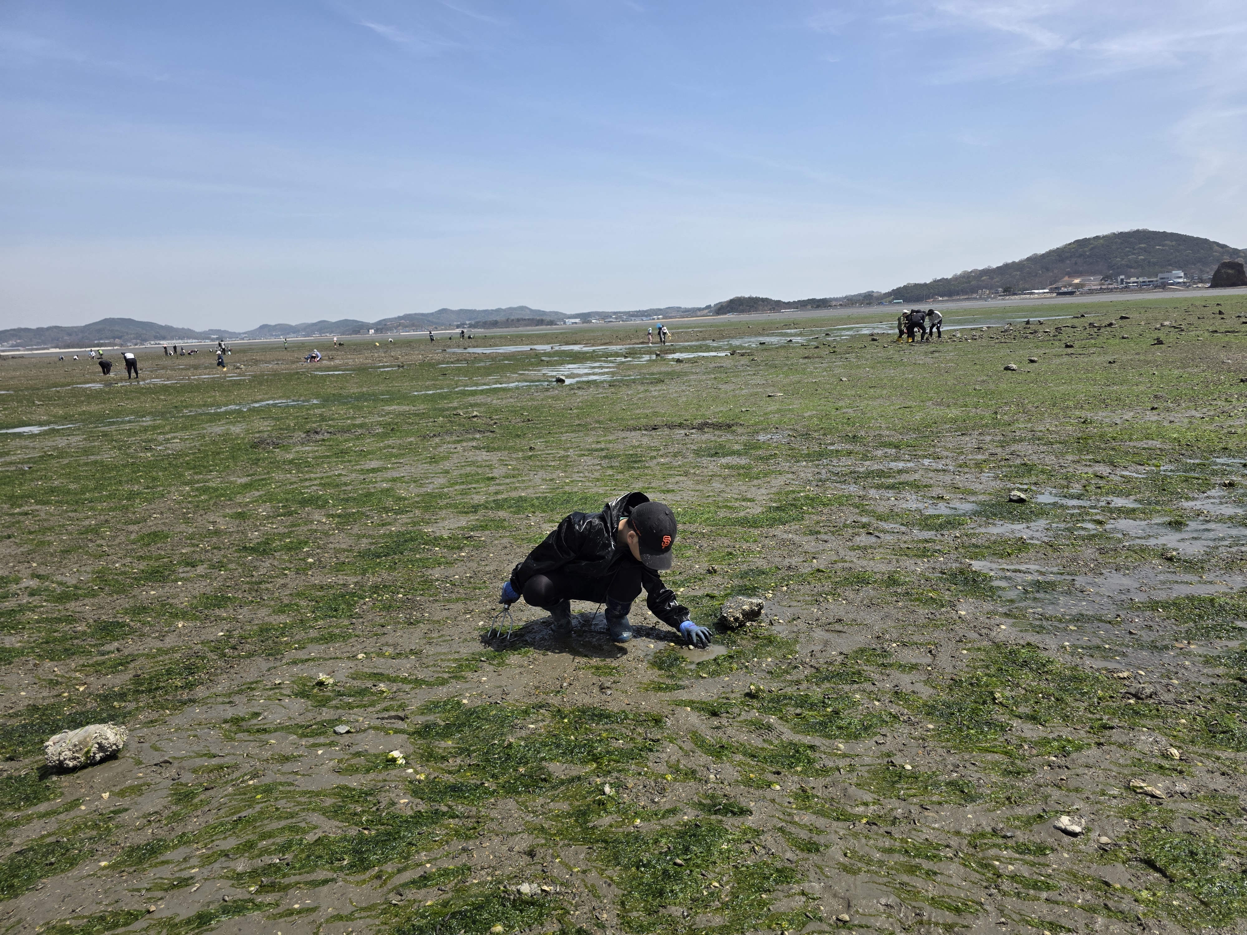 즐거운 백미리 마을 갯벌체험 이미지